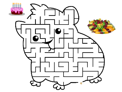 no fruit